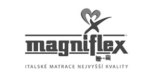 Magniflex